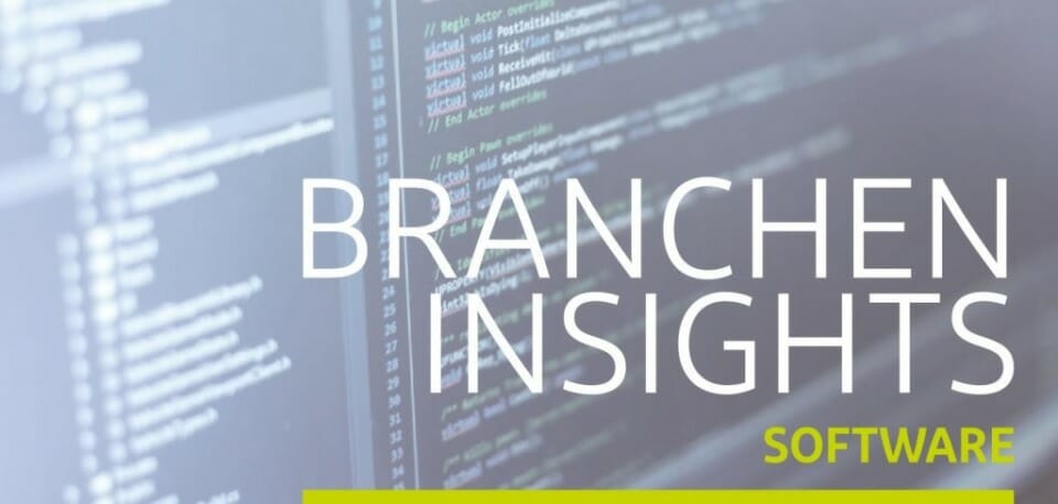 Brancheninsights Software 2020