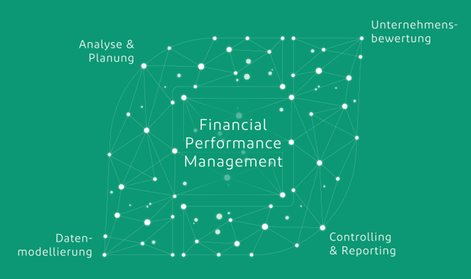 Erklärvideo Financial Performance Management